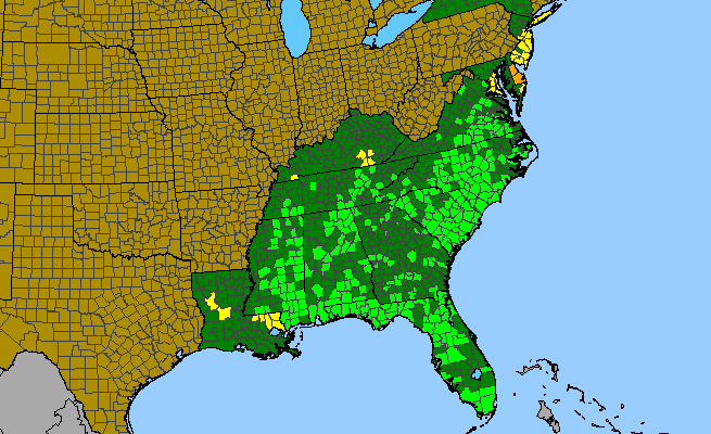 The range of Symphyotrichum concolor